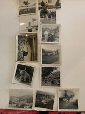 Lot of 12 black and white photos 1950’s Family Friends Lifestyle California picture