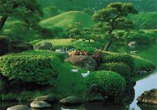 Suizenji Park Japanese Postcard - Zyojuen Kumamoto Pond Duck Vtg #39 picture