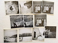 Vintage Photo Lot Book Of Snapshots Cats Love Wedding Snow King Pak c1950s picture