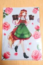 Spice and Wolf Newly drawn clear file Holo Anime Goods From Japan picture