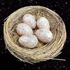 Figural Bird Nest Figurine Decorative 5 Eggs Laying On A Nest Figurine 4”Wide picture