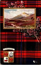 Vintage Postcard c1910 Tuck Scottish Clans Oilette The Macintyre Tartan Badge picture