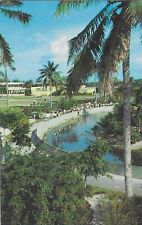 Vintage Florida Chrome Postcard Miami Seaquarium Iguana Lizards Lost Island picture