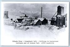 Leadville Colorado CO Postcard Mikado Mine Wolftone Graham Park c1940's Vintage picture