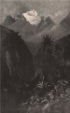MOUNT EARNSLAW. New Zealand 1888 old antique vintage print picture picture