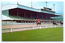 Postcard Monticello Raceway Catskill Mountains New York NY picture