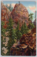 Lonesome Pine South Cheyenne Canyon Colorado Springs CO Forest Linen Postcard picture
