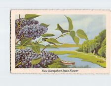 Postcard The Purple Lilac New Hampshire State Flower New Hampshire USA picture