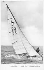 Redwing Wild Cat Class Dinghy Sailing Real Photo Vintage Postcard AA83589 picture