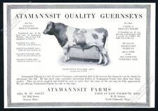 1923 Guernsey cattle bull photo Atamannsit Farms vintage print ad picture