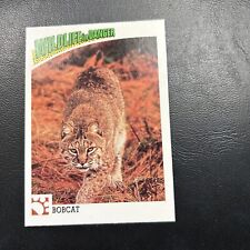 B30s Wildlife In Danger 1992 WWF World Fund #20 Bobcat North America picture