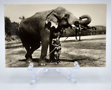 RPPC Postcard~ Temple Elephant~ Ceylon ( Sri Lanka) picture