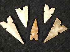 Lot of FIVE Ancient Bottom or TRIPLE Notch Tidikelt Arrowheads 3.35 picture
