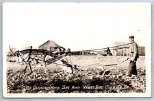 Sidney Nebraska~Old Grey Mare Ain't What She Used to Be~Exaggerated Cricket~RPPC picture
