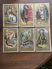 A.B. Seeley 1881 Victorian Trading Cards Cat Fight Complete Set Of 6 picture