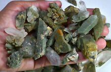 710 GM Full Terminated Natural Green FADEN QUARTZ Crystals Minerals Lot Pakistan picture