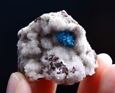 19g Natural CAVANSITE & ZEOLITE Crystal Symbiotic Mineral Specimen/  India picture