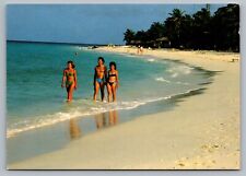Aruba Palm Beach Men Women Bikini Speedo Swimsuits Walking Shore Vtg Postcard C4 picture