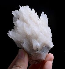 209g Natural  “Angel Wings” White Calcite Crystal Mineral Specimen/China picture