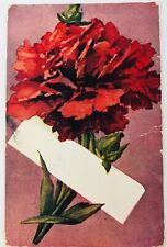 Vintage Greeting Postcard Red Flower Carnation with Purple Background 1908 picture