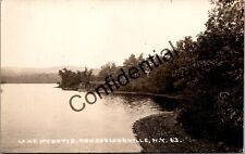 Real Photo Lake Mysotis At Rensselaerville New Albany County NY New York M353 picture