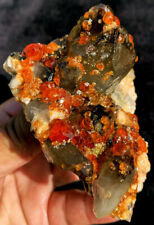 251g Gemmy Rare Natural Orange Spessartine Garnet Crystal Specimen ip1629 picture