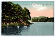 1914 Schute The Schutes Sancandaga In the Adirondack Mts. New York NY Postcard picture