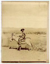 Boy on mule, to identify vintage print, citrate print run 23.5x18.5 approx.  picture