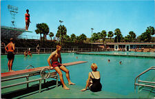 1960s University of Florida Swimming Pool Man Swimsuit Gainsville Postcard Vtg picture