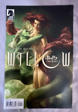 2009 Dark Horse Comics #1 Buffy The Vampire Slayer Willow Jo Chen Cover picture