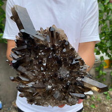 5.5lb Large Natural  Smoky Black Quartz Crystal Cluster Raw Mineral Specimen picture