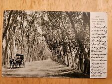 Vintage Postcard,Roswell,New Mexico.Lovers Lane,circa 1908. picture