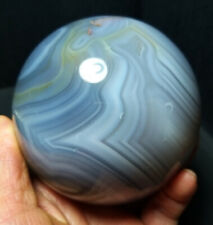  920G Natural Polished Aquatic Plants Agate Crystal Sphere Ball Healing WD338 picture