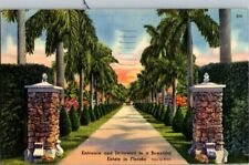 Postcard Entrance Driveway Beautiful Estate Florida Vintage Standard View Card picture