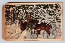 Youngsville PA-Pennsylvania, Greetings, Deer in Winter, Vintage c1950 Postcard picture