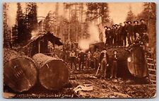Postcard An Oregon Lumber Crew B115 picture