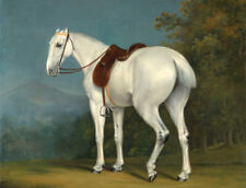 Art stunning Oil painting animal horse Grey-Hunter-Jacques-Laurent-Agasse picture