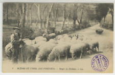 FRANCE Postcard Sheep Herding In The Pyrenees Mountains c1910s vintage 05 picture