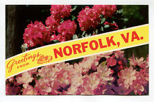 GREETINGS FROM NORFOLK VA - LOT OF 1 picture