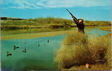 Vtg Greetings from Evanston Wyoming WY Hunter Hunting Shooting Rifle Postcard picture