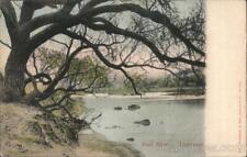 South Africa Vaal River-Transvaal Sallo Epstein & Co. Postcard Vintage Post Card picture