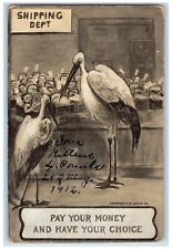 c1910's Stork Birth Shipping Dept. Embossed Winsch Back Embossed Postcard picture