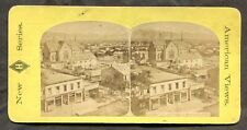 Stereoview Photo USA Salt Lake City Utah circa 1890s. Paint Shop picture