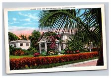 Vintage 1920s Postcard Flame Vine and Bougainvillaea, Florida picture