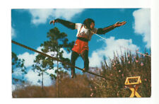 Miami FL Postcard Florida Monkey Jungle Chimpanzee picture