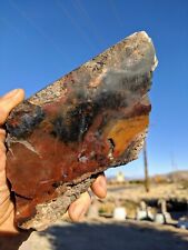 2 Lbs 10 oz MAURY MOUNTAIN MOSS plume AGATE Rough- picture