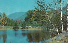 Postcard Beautiful Scenic View Mountains Trees Shadowing The Lake picture