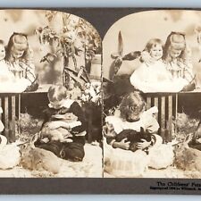 c1900s Childrens Pets Cute Bunny Rabbits 1894 Real Photo Stereo Card V17 picture