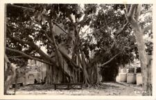 Banyon Tree Light House Key West Florida Real Photo RPPC picture