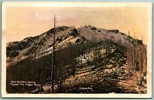 RPPC Tinted Bald Mountain Olympic Range WA Richardson Photo Postcard J1 picture